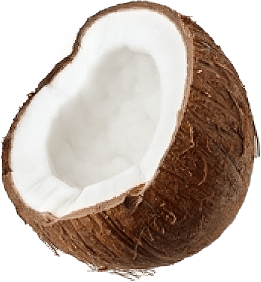 Coco Husk
