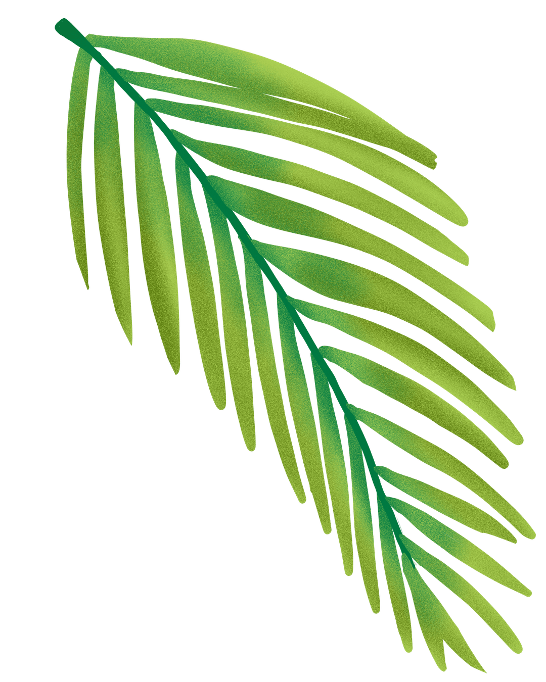 Coco Leaf